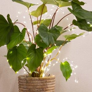 All-Weather Multi Lighted Strand Plant Stake, Medium